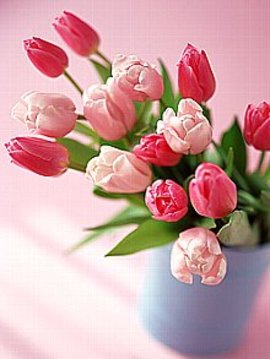 ４月１０日の誕生花は「チューリップ」